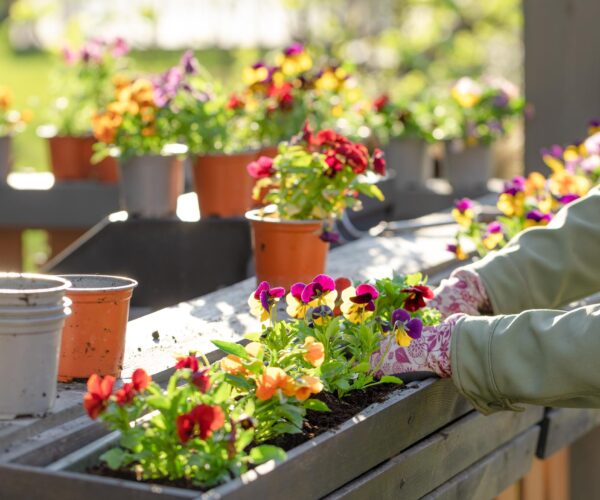 Die Besten Tipps Zur Vorbereitung Des Eigenheims Auf Den Frühling
